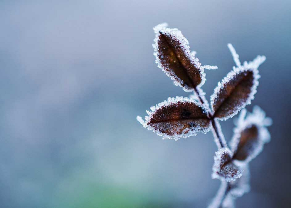 Symbolbild Winter